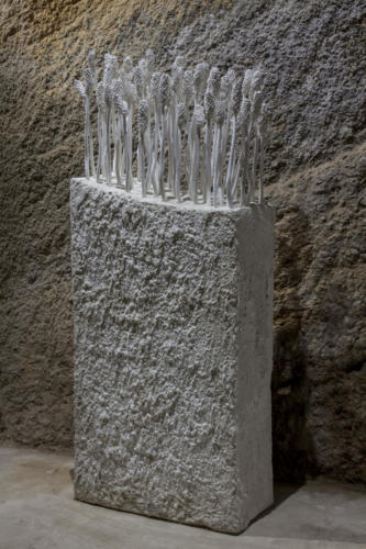 Semi — Composizione 1